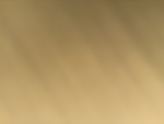 FoxyGames Group