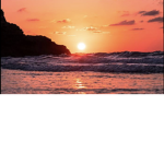 ~Sunset Coast official clothing~