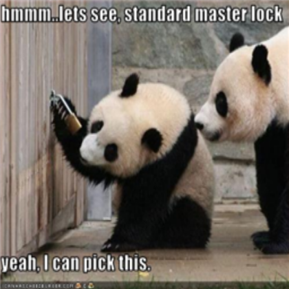 Funny Panda pic Roblox decal
