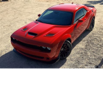 Emergency Response Liberty County Challengers ONLY