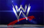 wwe fan group worldwide wrestle enternment