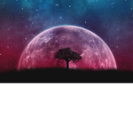 Galaxy dreams wonders