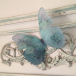 Butterflies are awesome