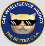 Cia eyycheev group