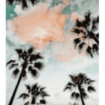 a u r o r a x s a k u r a