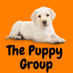 The PUPPY GROUP!!!!