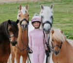 equestrian associates