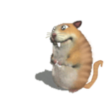 Cat Chomik