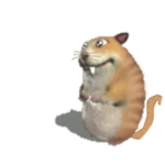 Cat Chomik