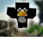 TIMOWNICY Rico