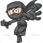 Shadow Ninja Wariors