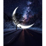 Kcs moonlights