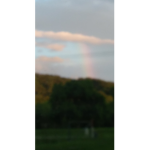 LBGTQ+ ###