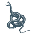 Serpent imperium