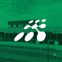 [PRG] Transavia Virtual