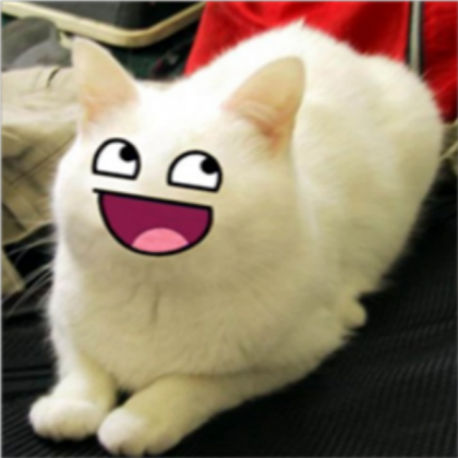 epic cat Roblox decal