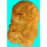 Nugget Inc (Stopped)