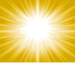 The Light Members