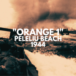 "ORANGE 1"