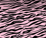 |- P A R K E R’S A P P A R E L -|