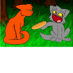 Cat Fight on the Heights