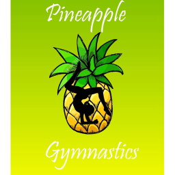 Pineapple Gymnastics's Main Gym V.1
