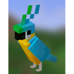 Parrot Cult