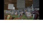 MINCRAFT PEOPLE GROUP