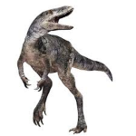 saltensis 7a87a1