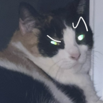 bliֆsful chaøs
