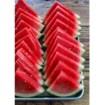 Melon Muncher Regiment