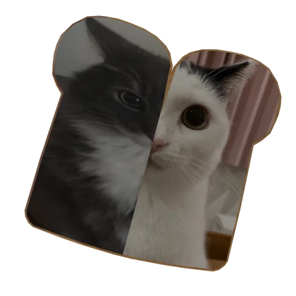 Cat bread slice top