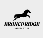 Bronco Ridge Interactive