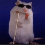 Bacons r kewl