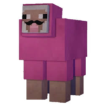 B0B ####