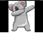 -koala club-