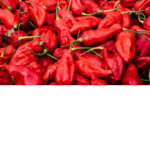 Have YOU eaten a ghost pepper?
