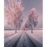 briannas roblox group