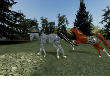 WIP Canter Prospect Stables WIP READ DESC