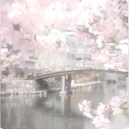 જ⁀➴ ⋆ ˚｡୨୧ ꒷꒦꒷꒦