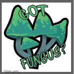 The Church of Bustling Fungus.