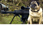 Elite Pug Army