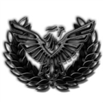 The Avinian Secret Service