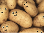 Potatoes Kingdom!