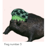 Fr.g