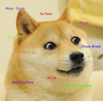 The Doggos of Dogecoin
