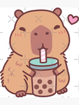 CapybaraJR