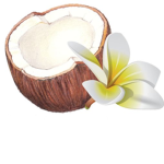 Just us the coconuts