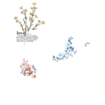LaylaBelle