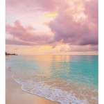 ~Beach Vibes~